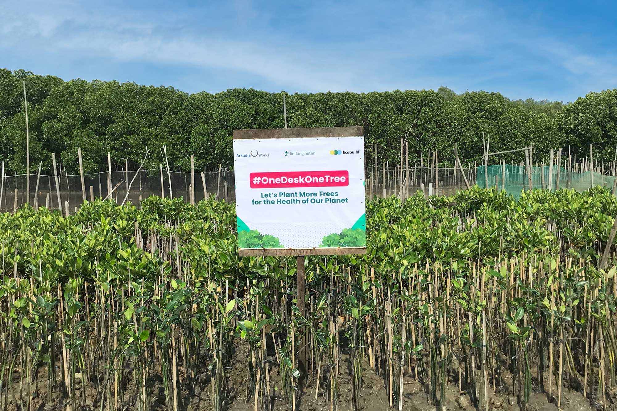 Arkadia-Works-Tanam-Pohon-2025_02